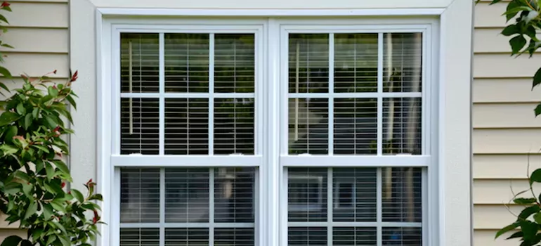 Custom Double Hung Windows in San Rafael, CA