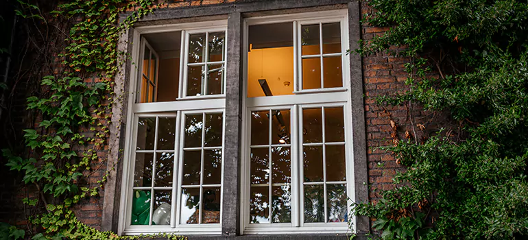 Energy Efficient Wood Windows in San Rafael, CA