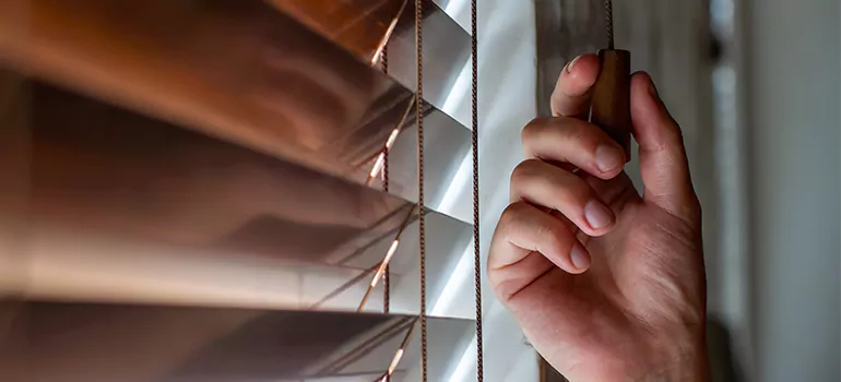 Double Roller Blinds in San Rafael, CA
