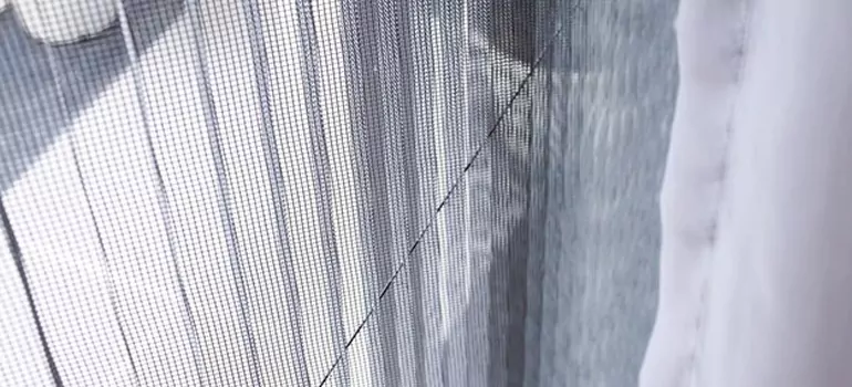 Fixing Screen Window Mesh in San Rafael, CA
